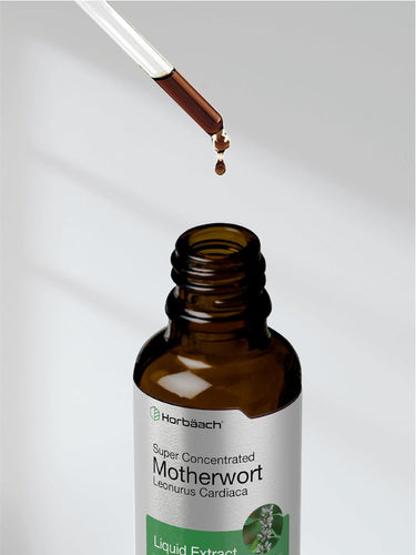 Motherwort Extract |  2oz Liquid