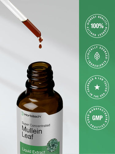 Mullein Leaf Extract | 2oz Liquid