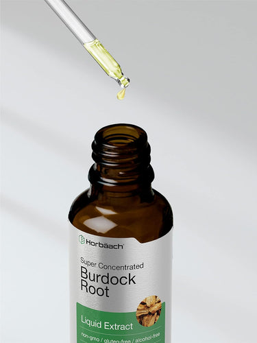 Burdock Root Extract | 2oz Liquid