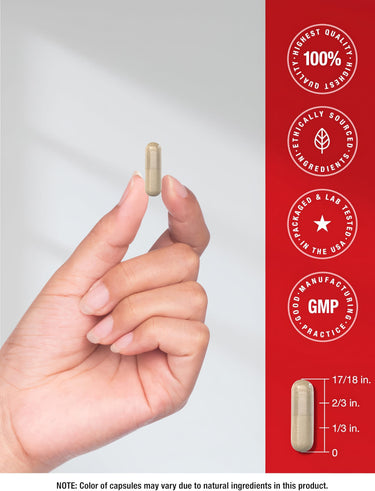 View 7 A single CL Prostate Support Complex capsule held in hand, 17/18 inches long, labeled with '100% Quality' and 'GMP' claims.