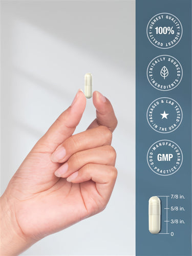 View 7 Infographic showing a hand holding a 7/8 inch capsule. Labels: Highest Quality 100%, Ethically Sourced, Packaged & Lab Tested in USA, GMP.