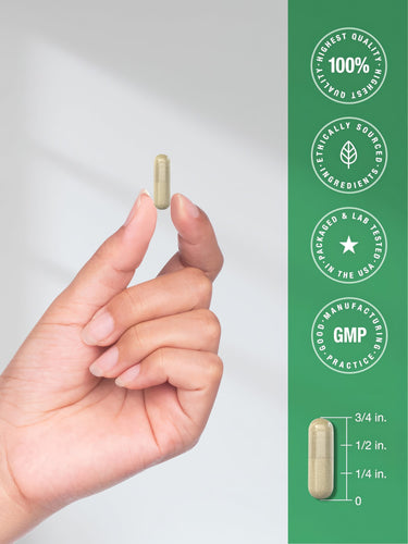 View 7 Infographic showing capsule size: 3/4 inch. Badges: 100% highest quality, ethically sourced, packaged & lab tested in USA, GMP.