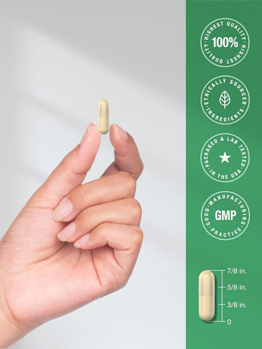 View 7 Hand holding a single CL Horbaach Ceylon Cinnamon 4,000 mg capsule, measuring 7/8 in. in length, 5/8 in. at widest, 3/8 in. at narrowest.