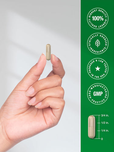 View 7 Infographic: 100% Highest Quality, Ethically Sourced Ingredients, Packaged & Lab Tested in the USA, GMP Good Manufacturing Practice