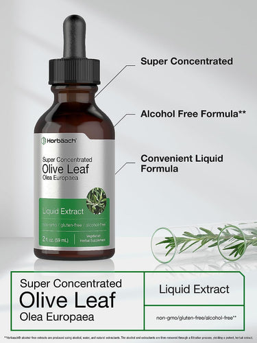 Olive Leaf Extract | 2oz Liquid