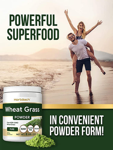 Wheatgrass Organic Powder | 8 oz