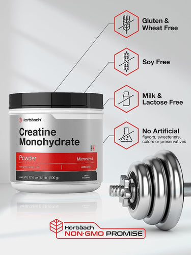 Creatine Monohydrate | 1.1lb Powder