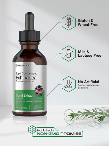 Echinacea Liquid Extract | 2 fl oz