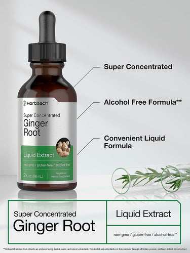 Ginger Root Liquid Extract | 2 fl oz