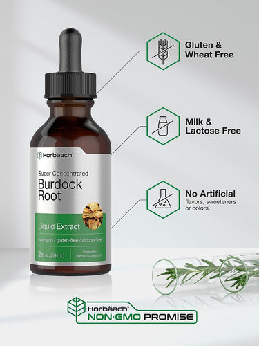 Burdock Root Liquid Extract | 2 fl oz