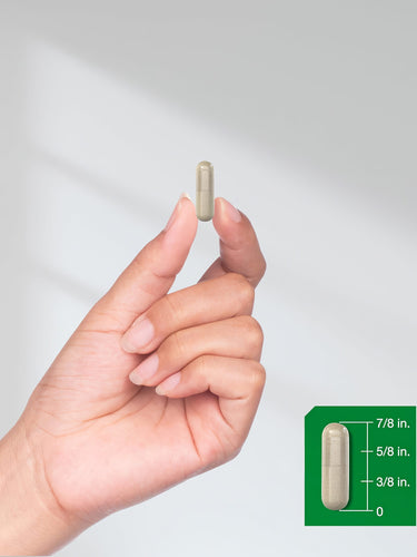 View 8 A hand holding a capsule, measuring 7/8 inch long, aligned with a scale.