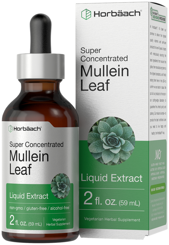 Horbäach Super Concentrated Mullein Leaf Liquid Extract bottle with 2 fl. oz. (59 mL) packaging.