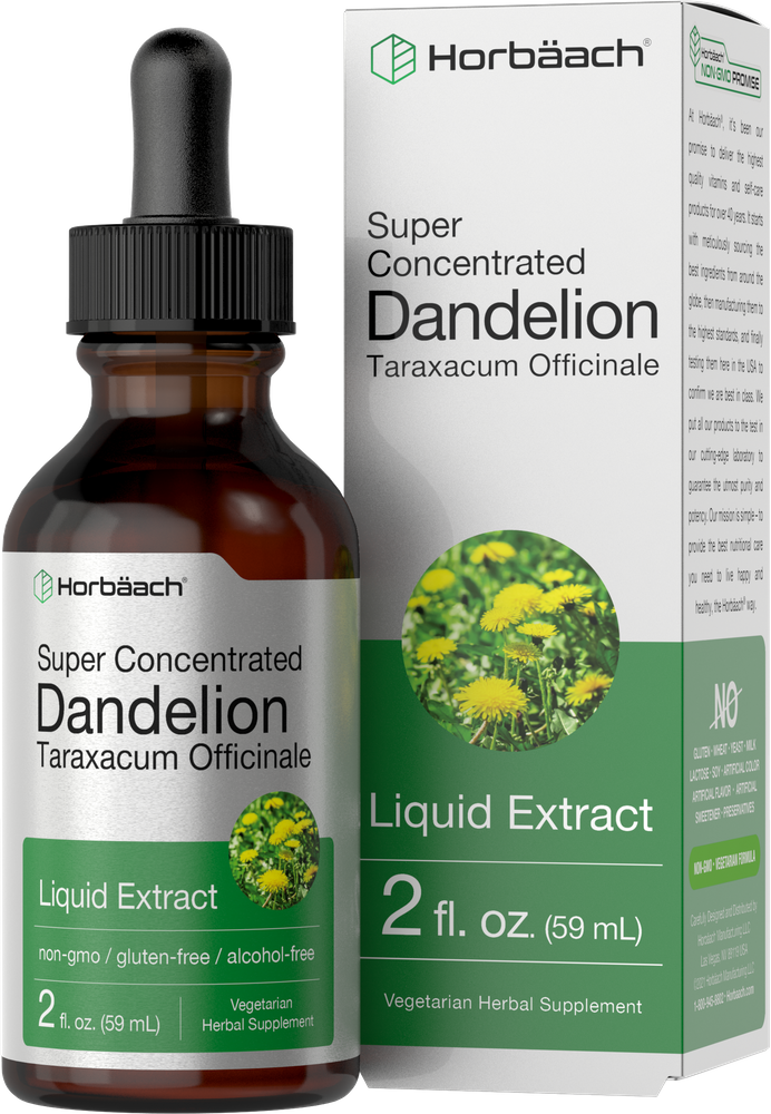 Super Concentrated Dandelion Liquid Extract in a 2 fl. oz. (59 mL) bottle, shown in a hand for size comparison, highlighting product scale.