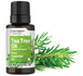 Tea Tree Fragrance Oil | .51oz Liquid