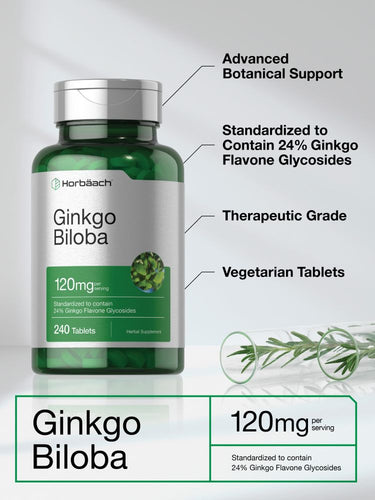 Ginkgo Biloba 120mg | 240 Tablets