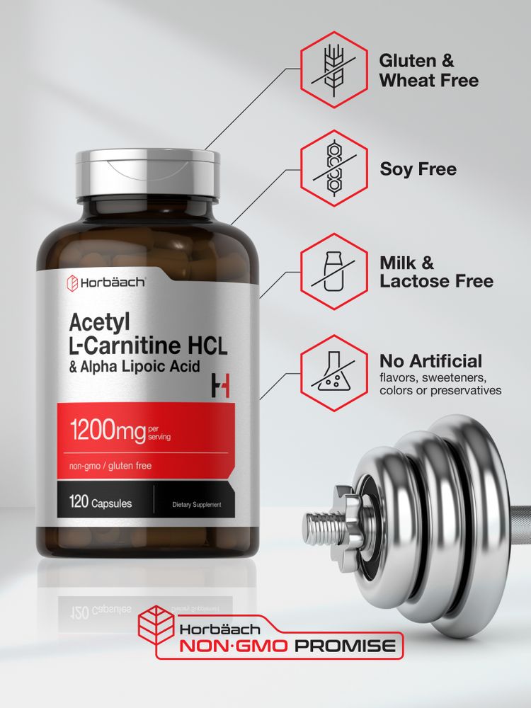 Acetyl L-Carnitine HCL & Alpha Lipoic Acid 1200mg per serving | 120 Ca Acetyl L-Carnitine HCL & Alpha Lipoic Acid 1200mg per serving | 120 Ca