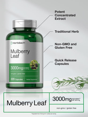 Mulberry Leaf Extract 3000mg | 220 Capsules