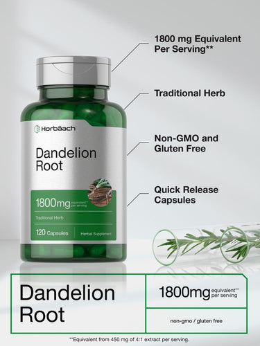 Dandelion Root 1800mg | 120 Capsules