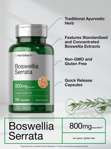 Boswellia Serrata Extract 800mg | 120 Capsules