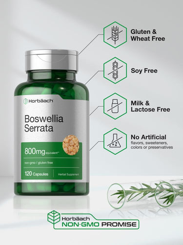 Boswellia Serrata Extract 800mg | 120 Capsules