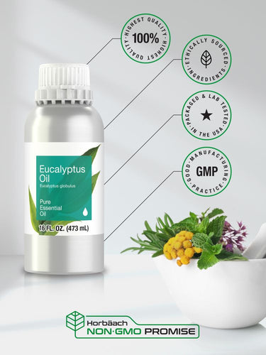 Eucalyptus Essential Oil | 16oz Liquid