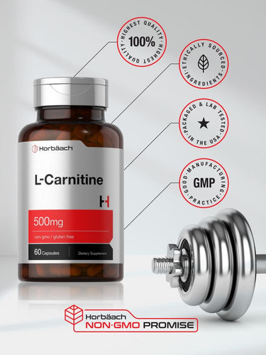 L-Carnitine 500mg | 60 Capsules