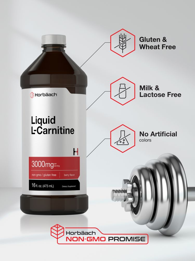 L-Carnitine Liquid 3000mg | 16 oz L-Carnitine Liquid 3000mg | 16 oz