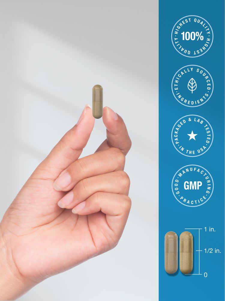 3 Day Cleanse | 12 Vegan Capsules