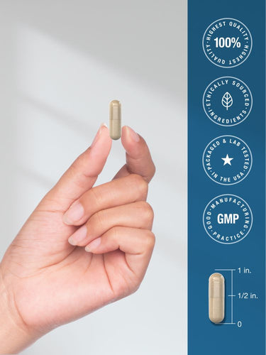View 6 A 1-inch capsule with scale markings showing 1 inch and 1/2 inch measurements.