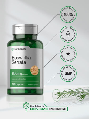 Boswellia Serrata Extract 800mg | 120 Capsules