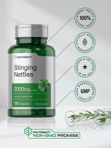 Stinging Nettle 2000mg | 150 Capsules