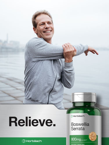 Boswellia Serrata Extract 800mg | 120 Capsules