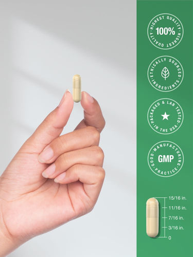 View 7 A single light-colored capsule is held in a hand. A scale graphic shows the capsule's length as 15/16 inch.
