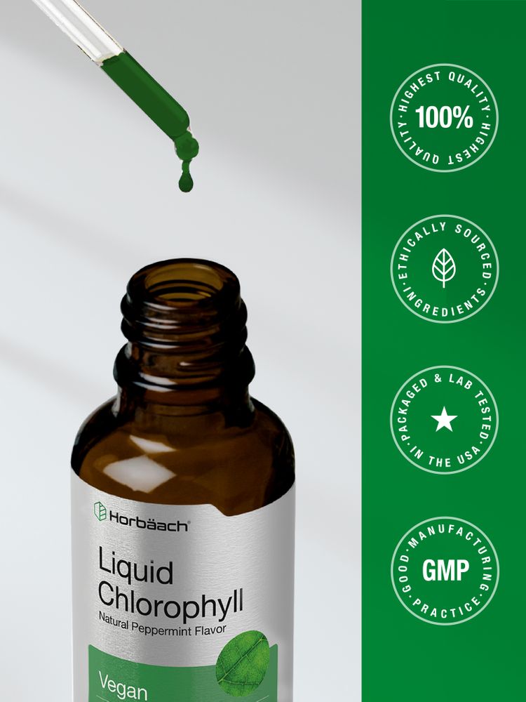 Chlorophylle | 2oz Liquide Chlorophylle | 2oz Liquide