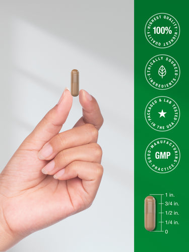 View 7 Andrographis Extract