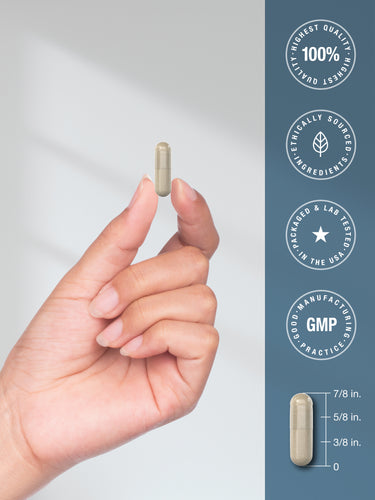 View 7 Capsule held between fingers with graphic showing its length at 7/8 in., marked at 5/8 in., 3/8 in., and 0.