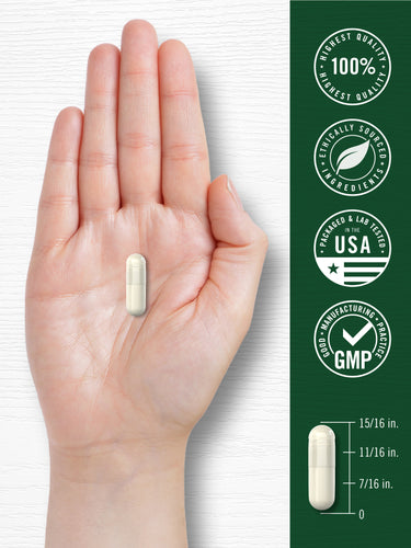 View 7 NMN Supplement 1500mg | 120 Capsules
