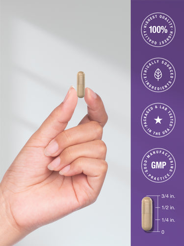 View 7 Probiotics 60 Billion CFU | 60 Capsules