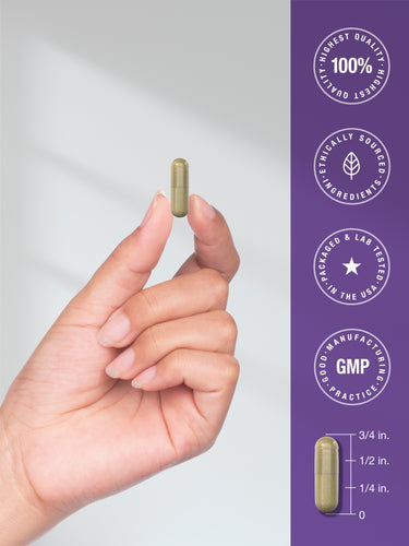 View 7 Probiotic 30 Billion CFU | 110 Vegetarian Capsules