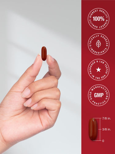 View 7 A hand holds a CL CoQ10 PQQ L Carni softgel, measuring 7/8 inch long and 3/8 inch wide.