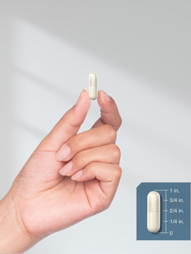 Hand holding a white capsule with a size reference on a gray background