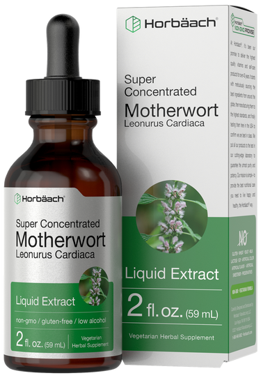 Motherwort Liquid Extract | 2 fl oz