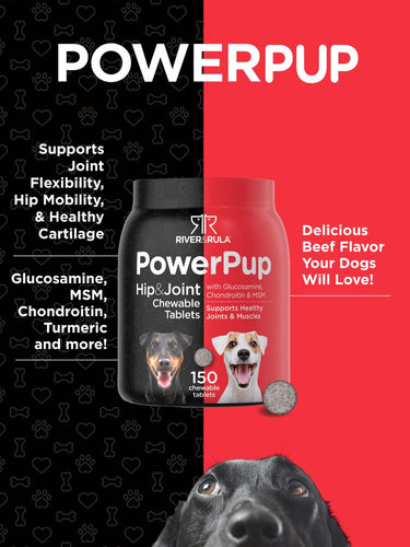 Hip and Joint Support for Dogs | 150 Chews