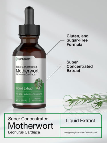 Motherwort Liquid Extract | 2 fl oz