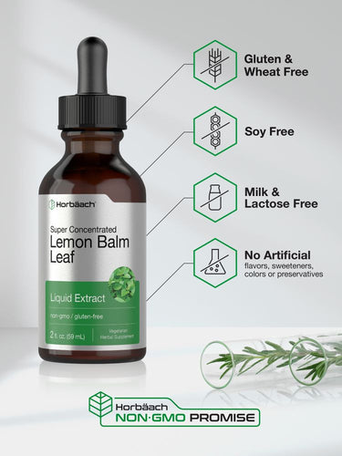 Lemon Balm Leaf Liquid Extract | 2 fl oz