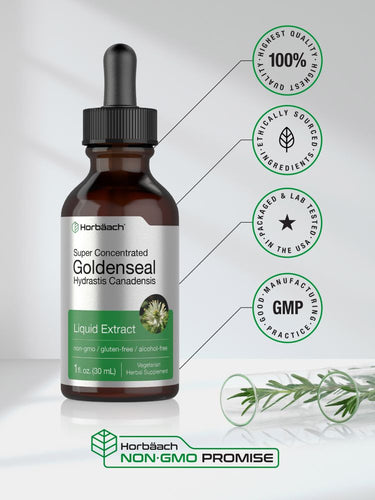 Goldenseal Root Liquid Extract | 1 fl oz