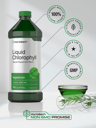 Liquid Chlorophyll 100mg | 32 oz (2 x 16 oz Bottles)