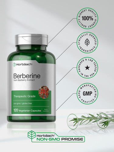 Berberine (Barberry Extract) | 120 Capsules