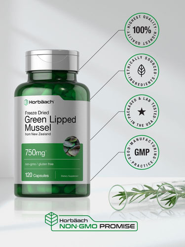 Green Lipped Mussel 750mg | 120 Capsules